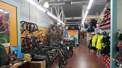 Cycling Solutions Bicycle Shop