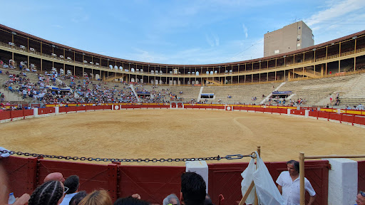 Escuela Taurina de Alicante - Thumbnail