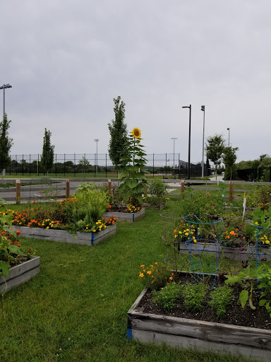 Eastport Roots Community Garden - Thumbnail