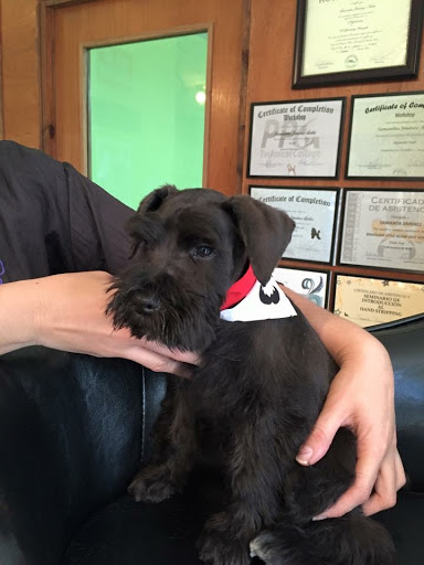 Caninos Grooming Salon - Thumbnail