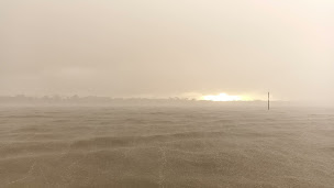 Photo n°4 de LES COQUILLES DU BASSIN à Andernos-les-Bains (Service de livraison)