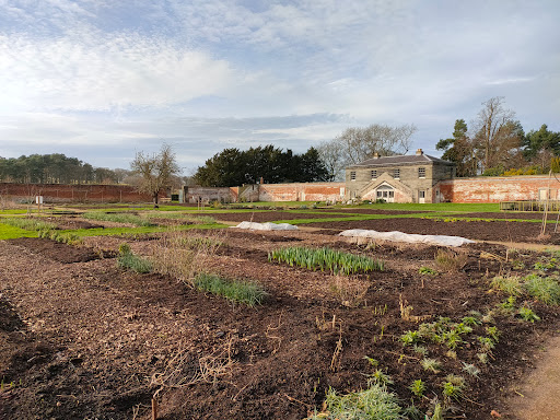 Shugborough Estate Car Park - Thumbnail