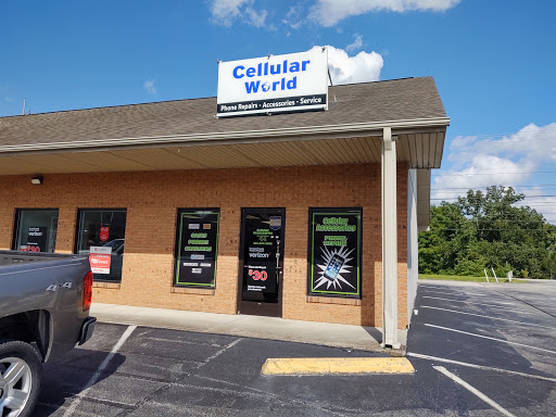 Cellular World - Visual