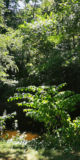 Bord du lignon - Thumbnail