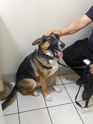 Rathburn Animal Clinic - Thumbnail