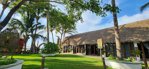 Villas Manchineel