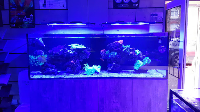 Reviews of Out Of The Blue Marines in Manchester - Cell phone store