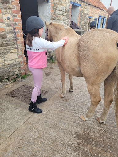 Pevlings Farm Riding & Livery Stables - Thumbnail