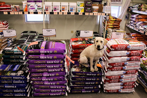 Valentine Feed & Supply - Thumbnail