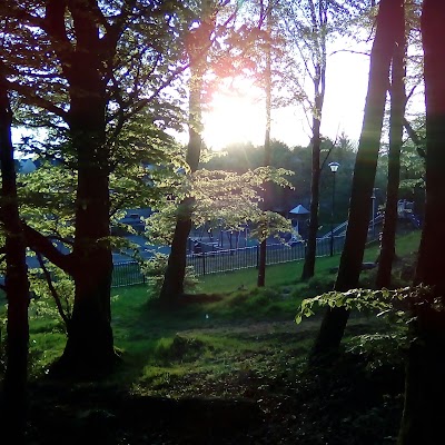 Photos of Brabazon Woods Swinford