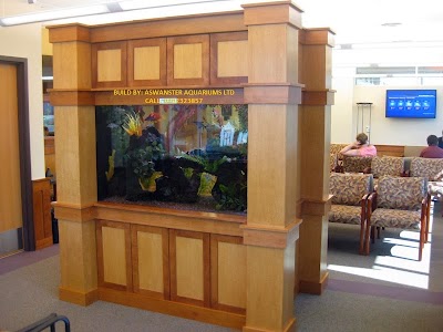 Photos of Aswanster Holdings Ltd