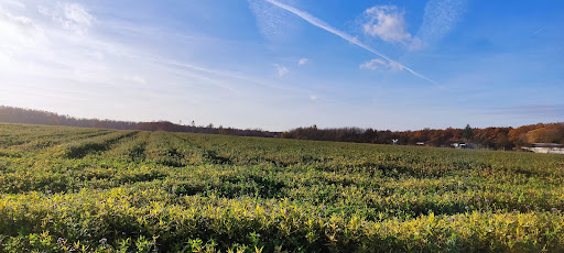 Zentrale Unterbringungseinrichtung des Landes NRW