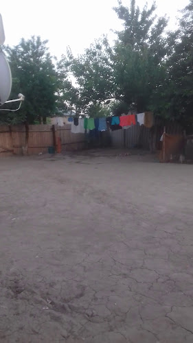 Opinii despre Școala Gimnazială Viziru în Viziru - Școală