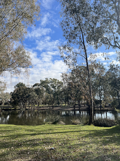 Julia Ronan Park Outdoor Gym