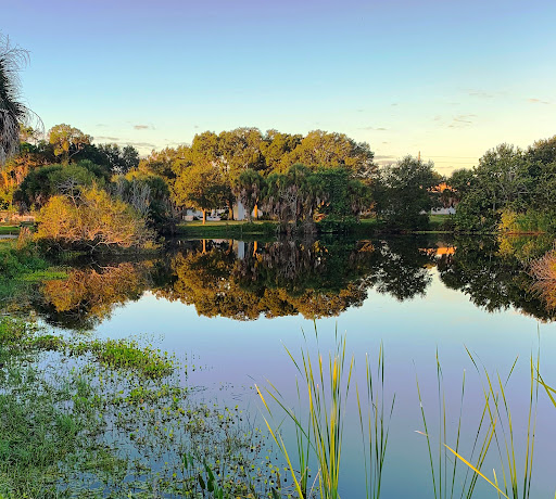 Florida Pines Mobile Home Ct - Thumbnail