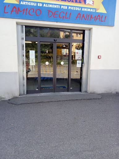 Store Fortesan Verbania - Thumbnail
