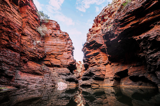 The Flying Sandgroper Gallery - Australia