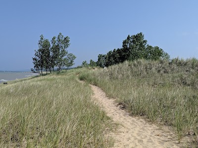 Saugatuck Harbor Natural Area