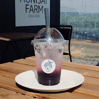 アオニサイファーム ブルーベリー観光農園&カフェ
