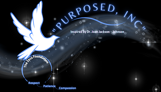 Purposed, Inc - Visual