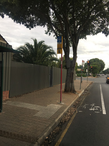 Stop 16 Winston Ave - East side - Thumbnail