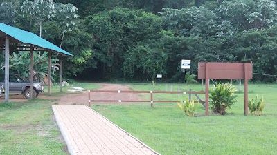 Photos of Iwokrama River Lodge