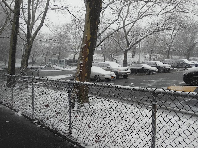 Bronx
