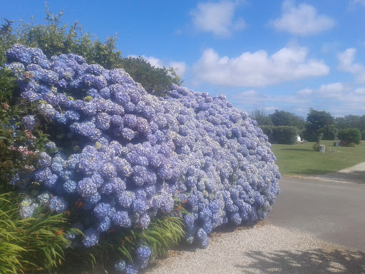 Cardinney Caravan and Camping Park - Thumbnail