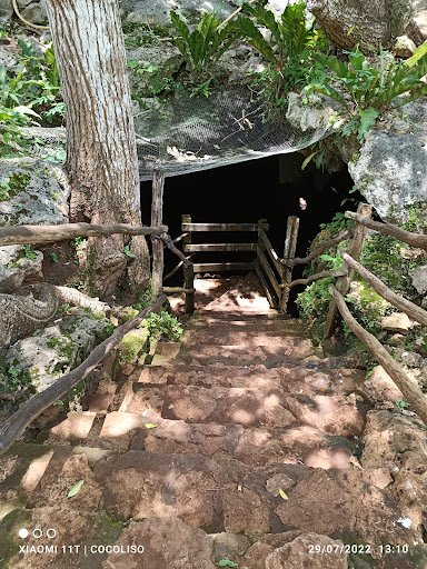 Cenote Choj Ha - Thumbnail