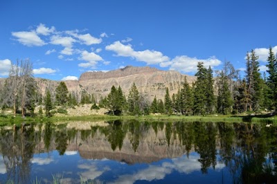 Uinta-Wasatch-Cache National Forest
