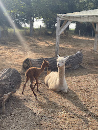 Photo n°54 de Camping Le Rocher De La Cave *** à Carsac-Aillac (Terrain de camping)