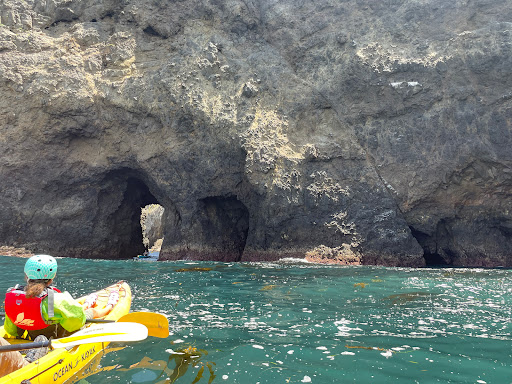 Channel Islands Expeditions - Oxnard - Thumbnail