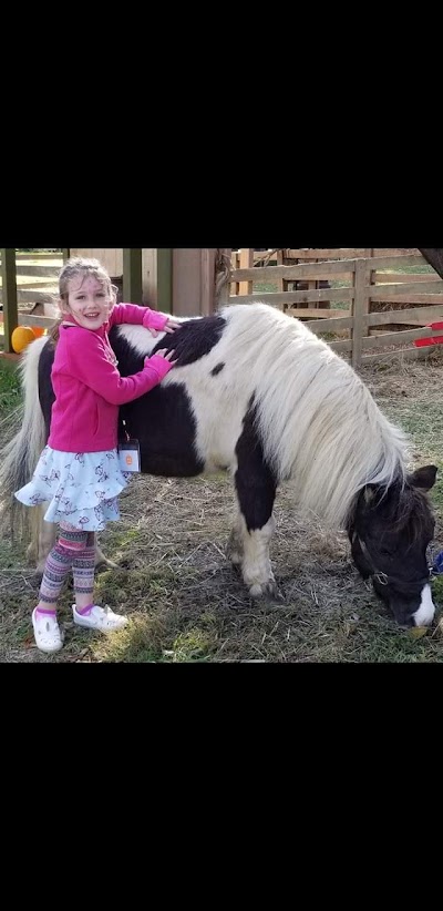 Drake Ridge Farms U-Pick Pumpkin Patch & Mini Petting Zoo