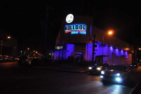 Bulldog Disco Club, Author: Bulldog Disco Club