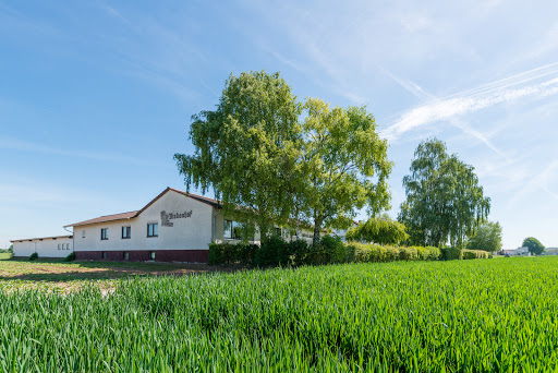 Partyservice Schäfer Riedstadt - Germany