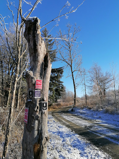 Rothaarsteig - Visual