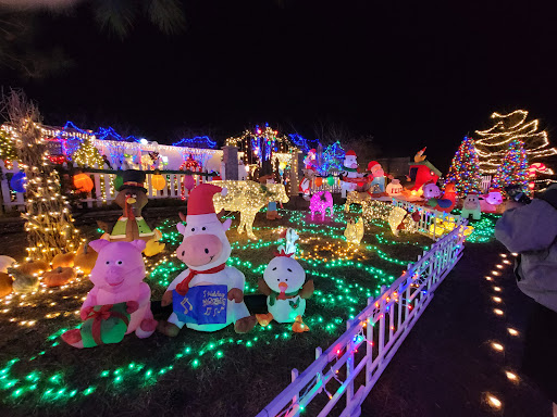 Freeman Lights Gallery - United States