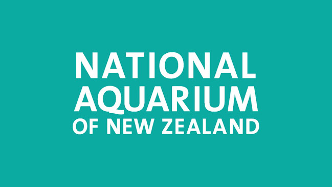 Reviews of National Aquarium of New Zealand in Napier - Museum