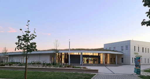 Photo de Piscine du Carrousel à Dijon (21000)