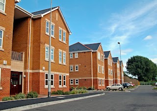 Amodeo Scott Ltd