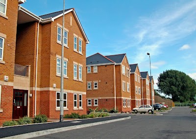 Amodeo Scott Ltd