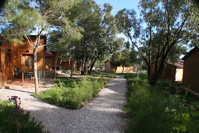 Photos of Caf&eacute; Samte