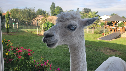 Photo de chambre hote les ormeaux à Saint-Georges-des-Coteaux (17810)