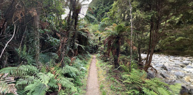 https://www.doc.govt.nz/parks-and-recreation/places-to-go/nelson-tasman/places/takaka-area/things-to-do/tracks/rawhiti-cave-track/