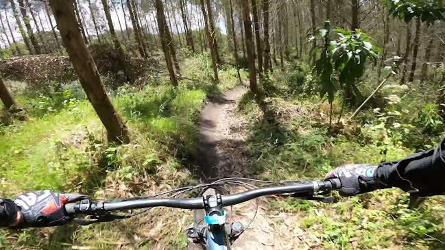 Aglomerados Cotopaxi Bike Park - Mulalo