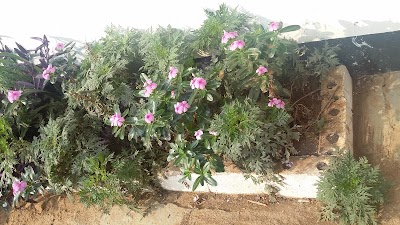 Photos of April Inn ဧပရယ်အင်း