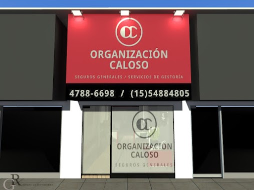 Organizacion Caloso Seguros, Author: Organizacion Caloso Seguros