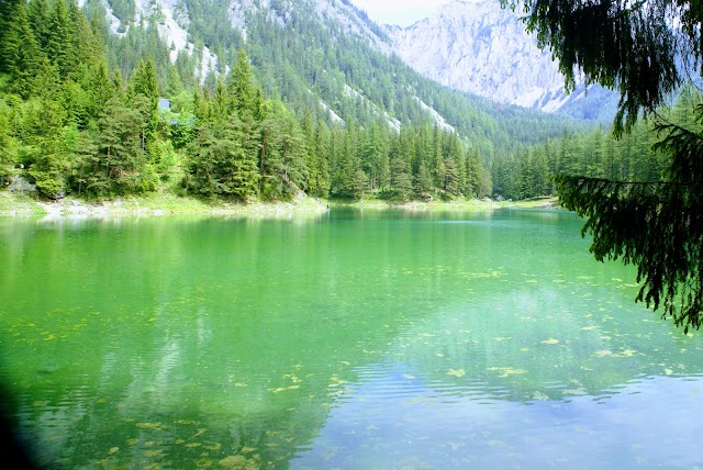 Grüner See