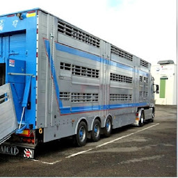 Photo n°4 de Transport Grégoire SARL à Chemillé-en-Anjou (Société de transport routier)