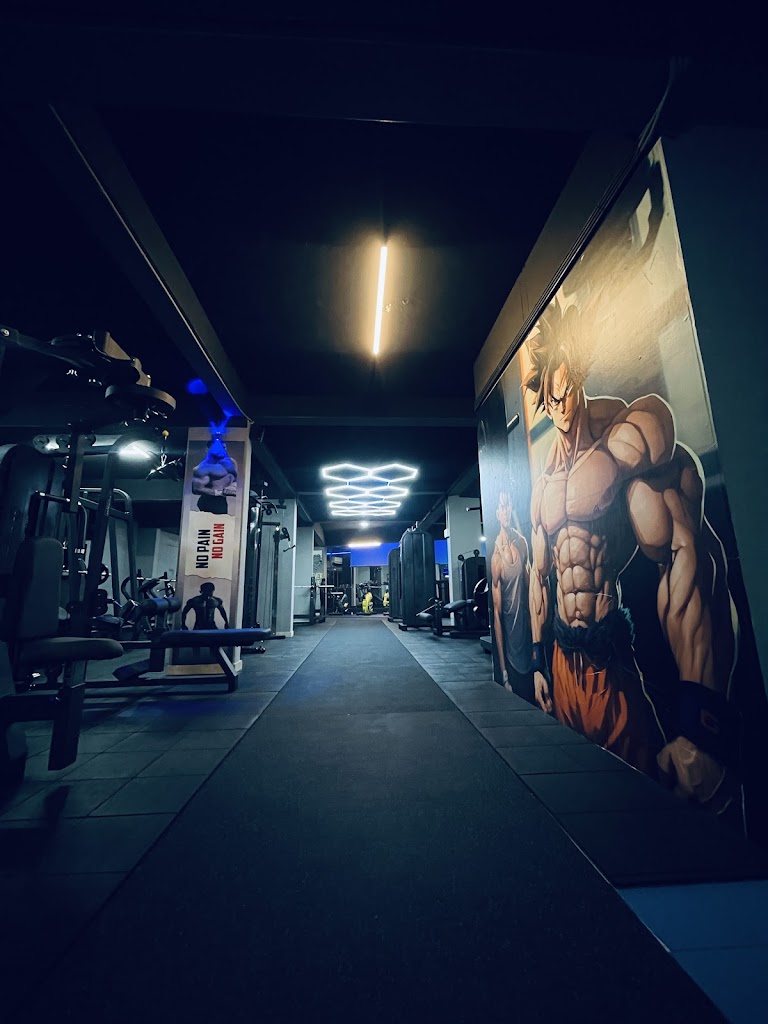 Fit Lounge Gents And Ladies Fitness Centre